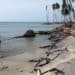Civil Society calls for urgent action on climate change