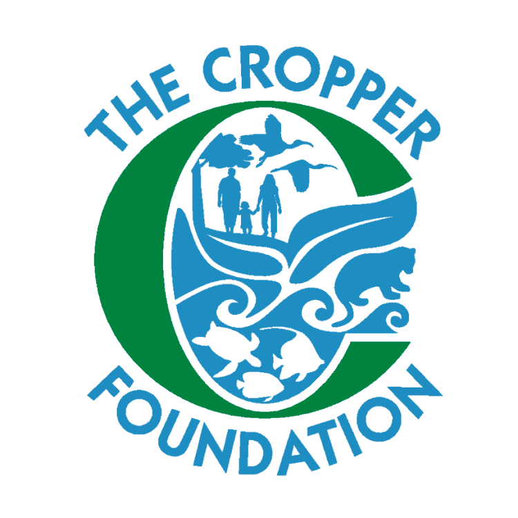 The Cropper Foundation