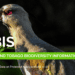 Government Launches Interactive Biodiversity Website For T&T