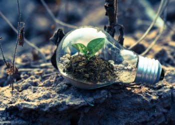 COVID-19 presents an opportunity to do better for our planet.  Will T&T take it?