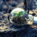COVID-19 presents an opportunity to do better for our planet.  Will T&T take it?