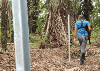 Steel Beams Replace Trees In Valencia Forest Reserve As Squatters Invade