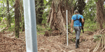 Steel Beams Replace Trees In Valencia Forest Reserve As Squatters Invade