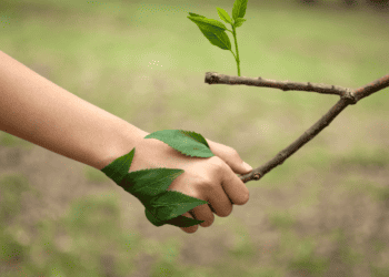 Ministry Recommends Global Pledge For Nature Be Signed By T&T Leadership