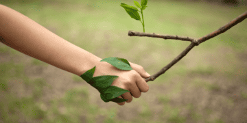 Ministry Recommends Global Pledge For Nature Be Signed By T&T Leadership
