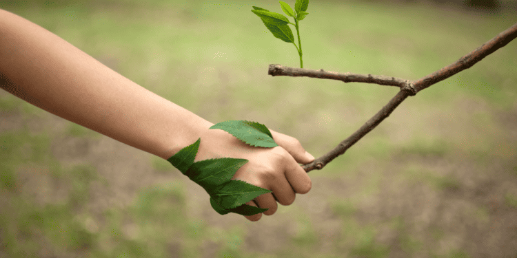 Ministry Recommends Global Pledge For Nature Be Signed By T&T Leadership