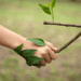 Ministry Recommends Global Pledge For Nature Be Signed By T&T Leadership