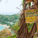 How Tobago Benefits From Biosphere Reserve