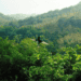 Nature Does Not Do Monoculture – She Demands Biodiversity