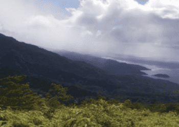Terrestrial and Coastal Forest Ecosystems – Sustaining People and Planet