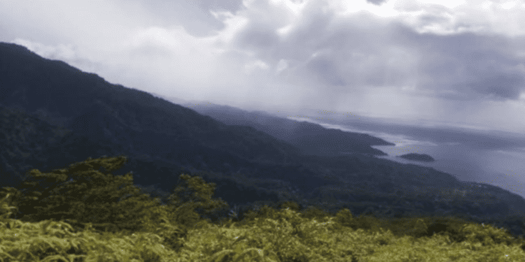 Terrestrial and Coastal Forest Ecosystems – Sustaining People and Planet