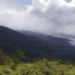Terrestrial and Coastal Forest Ecosystems – Sustaining People and Planet