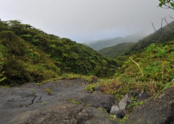 Hardened lava flow from St. Vincent's La Soufrière volcano, taken in 2009. Photo by Dave Brown on Flickr, CC BY-NC-ND 2.0.