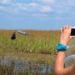 Woman Taking picture of Great Blue Heron with a smart phone in the Florida Everglades [jjneff Getty Images Signature © CANVA]