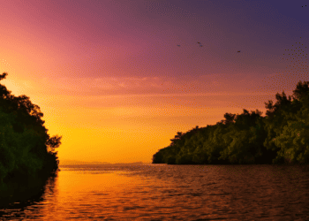 Mangrove blue river leading to the open sea, Trinidad and Tobago, colourful sunset
