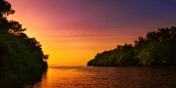 Mangrove blue river leading to the open sea, Trinidad and Tobago, colourful sunset