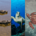 The five species of sea turtle that can be found in Trinidad and Tobago