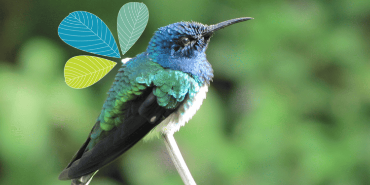 Celebrating World Environment Day 2021!