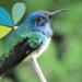 Celebrating World Environment Day 2021!