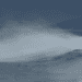 Picture of a crashing wave on the sea surface in a nightly setting
