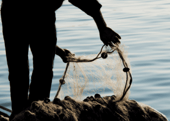 silhouette of man adjusting fishing net