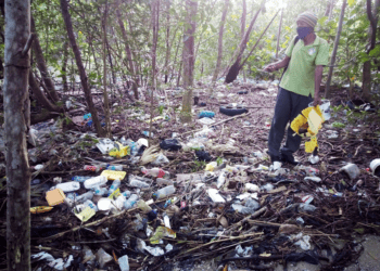 Pollution suffocating mangrove forests in T & T