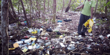 Pollution suffocating mangrove forests in T & T