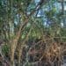 Making believers out of sceptics: Wetland’s Hidden Treasures