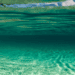 Recovering Marine Wildlife for our Sustainable Development
