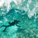 The future of seagrass conservation is bright… green  – interview with PhD student Terryn Constantine