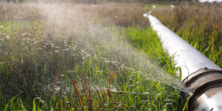 Groundwater – Out of Sight but not out of Mind 