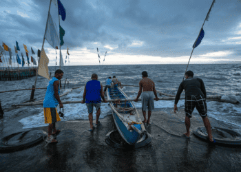 International Year of Artisanal Fisheries and Aquaculture 2022 (IYAFA2022): SMALL IN SCALE, BUT BIG IN VALUE 