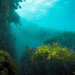 Revitalization: Collective Action for the Ocean