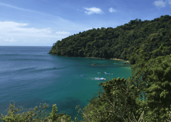 Coral Bleaching threatens Tobago’s Reefs 