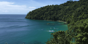 Coral Bleaching threatens Tobago’s Reefs 