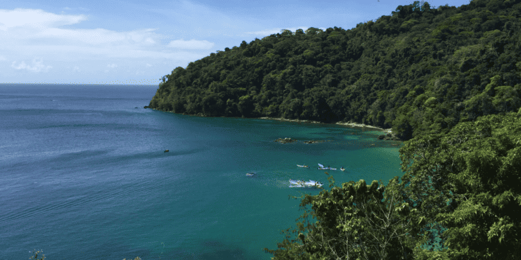 Coral Bleaching threatens Tobago’s Reefs 