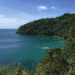 Coral Bleaching threatens Tobago’s Reefs 