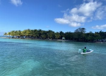 How Belize’s Bright Biodiversity Is Inextricably Linked To Blue Carbon