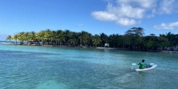 How Belize’s Bright Biodiversity Is Inextricably Linked To Blue Carbon
