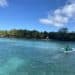 How Belize’s Bright Biodiversity Is Inextricably Linked To Blue Carbon