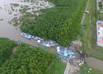 Guyana’s first line of coastal defence battles new issues   