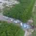 Guyana’s first line of coastal defence battles new issues