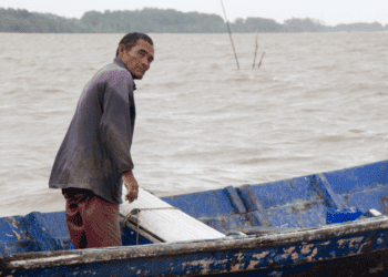 How are Surinamese fisheries impacted by climate change?