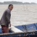 How are Surinamese fisheries impacted by climate change?