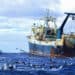PERSPECTIVES: Breaking down the “Treaty of the High Seas”