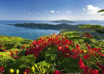 Views from around the Caribbean