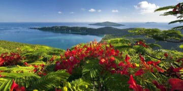Views from around the Caribbean