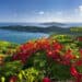 Views from around the Caribbean