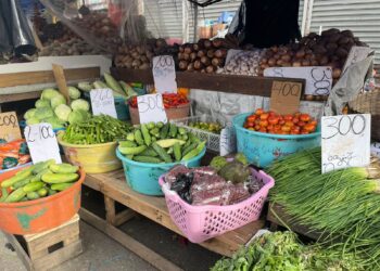 Grappling with climate change and food production: Guyana & St. Vincent and the Grenadines