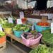 Grappling with climate change and food production: Guyana & St. Vincent and the Grenadines